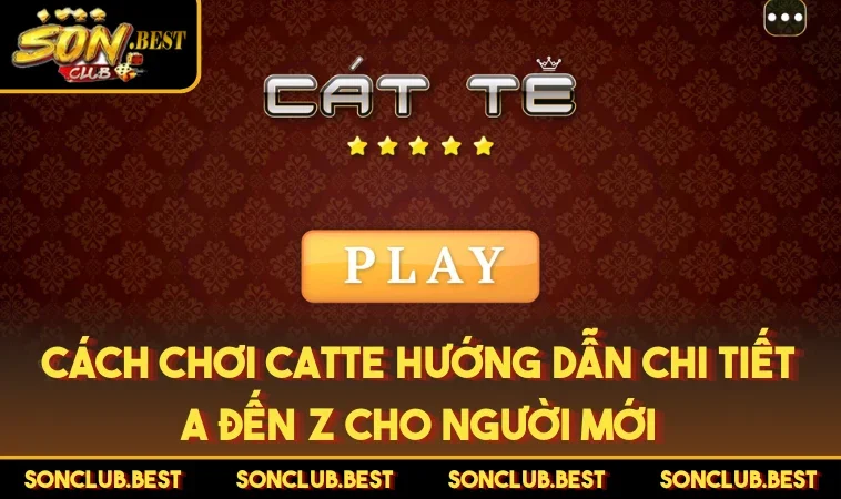 Cách Chơi Catte Hướng Dẫn Chi Tiết A Đến Z Cho Người Mới