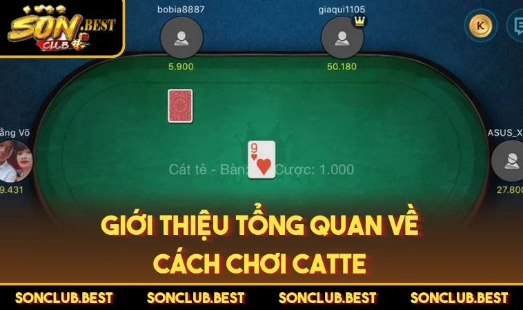 Giới thiệu tổng quan về cách chơi Catte